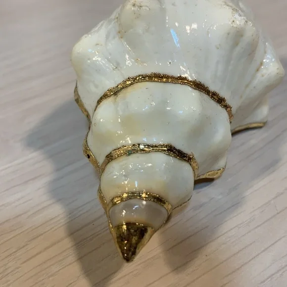 Vintage 1970s Real Shell Belt Buckle Ivory & Gold Nautical Coastal Beach Vibe - Picture 17 of 17